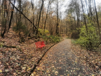 Herbststimmung. / ***