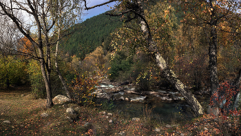 Herbst / ***