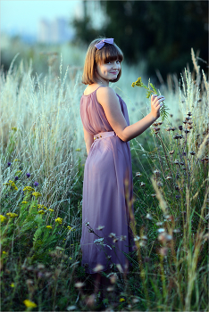 Wildblumen / ***