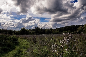 Am Ende des Sommers. / ***