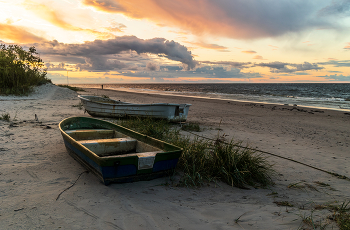 &nbsp; / ***