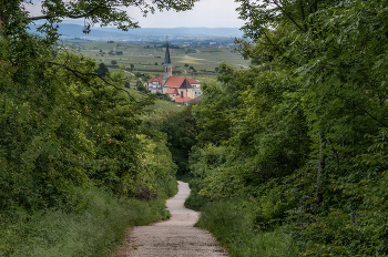 Der Grüne Weg / ***