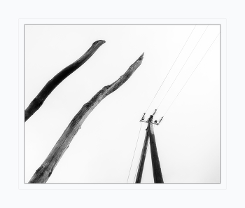 Gravitation / ***