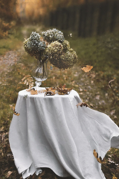 Herbst / ***