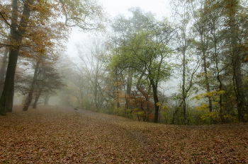 November / ***