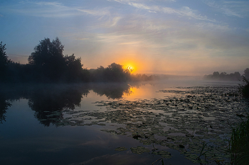 Sommermorgen. / ***