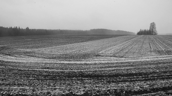 Leben rund um / ***