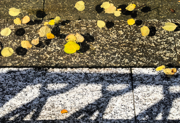 Herbst ist gekommen ... / ***