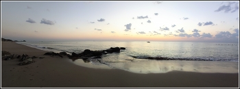 Bald dawn / ***