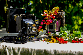 Still Life / ***