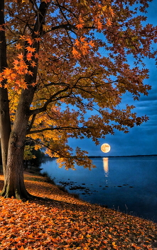 Atem des Herbstes / ***
