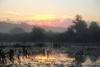 Sommermorgen. / ***