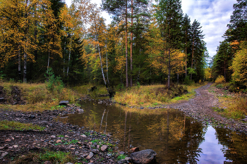Herbstwald / ***