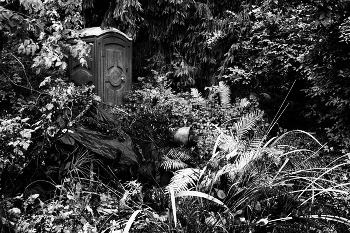 Leben rund um / ***