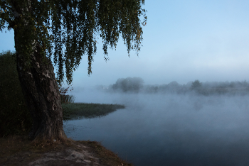 Nebel / ***