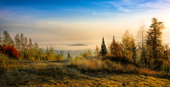 Morgennebel / ***