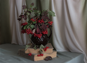 Kalina rot ... / ***