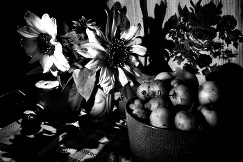 Leben rund um / ***