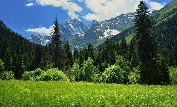 Sommer in den Bergen / ***
