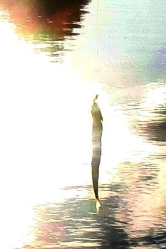 Leben rund um / ***