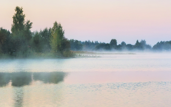 Nebliger Morgen / ***