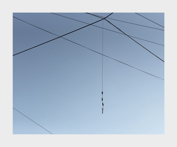 &nbsp; / ***