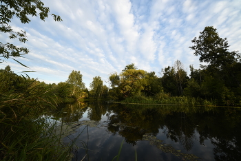 Auf dem Fluss / ***