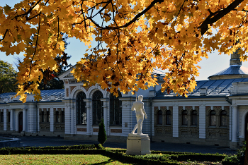 Goldener Herbst / ***