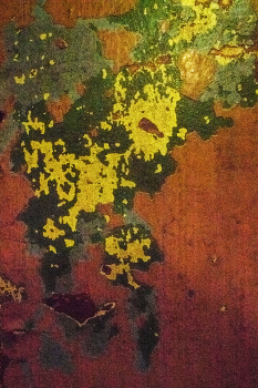 Leben rund um / ***