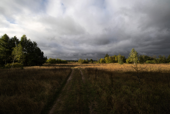 das Spiel von Licht und Schatten / ***