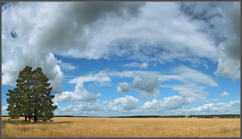 Wolken / ***