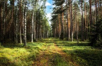 Early Autumn / ***