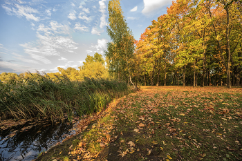 Herbst / ***