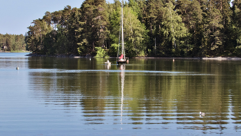Sommertag / ***