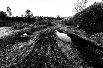 Leben rund um / ***