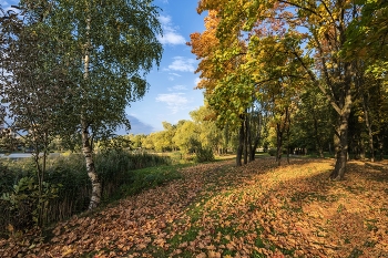 Herbst / ***