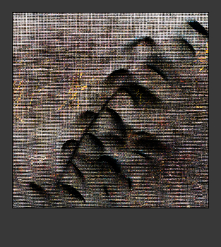 &nbsp; / ***