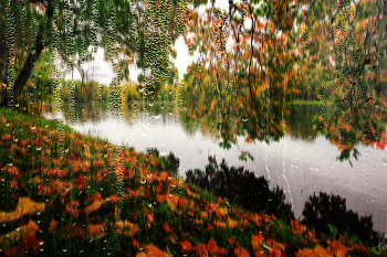 November / ***