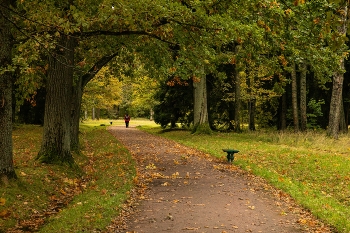 Autumn Straße / ***