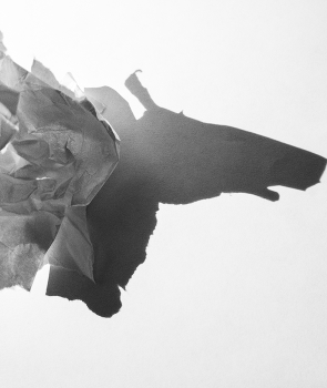 Paper &amp; light / Paper &amp;; light