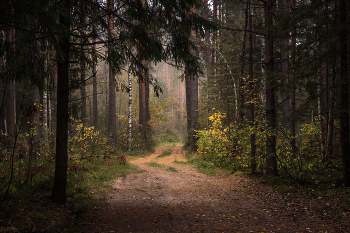 Nach dem Regen / ***