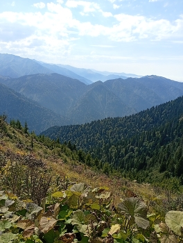 Doga / Beautiful mountain landscape with green forests, valleys and clouds.