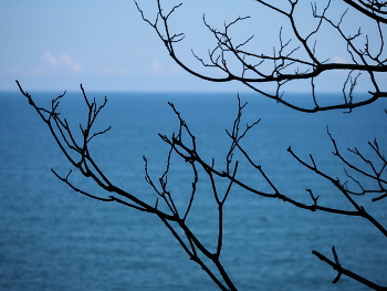 Kobuleti / ***