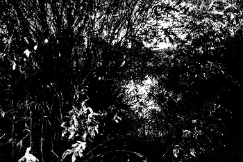 Leben rund um / ***