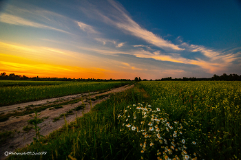 Abenddämmerung / ***