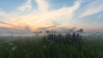 Misty Abend / ***