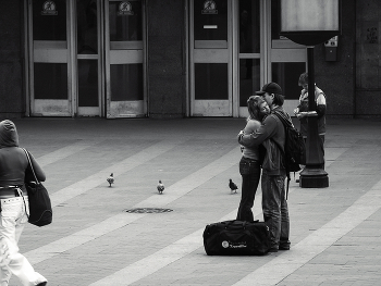 Liebe und Tauben / ...