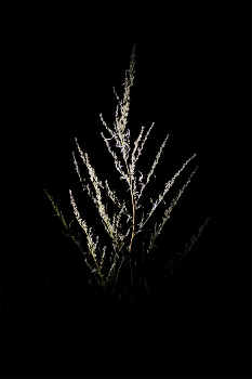 Leben rund um / ***