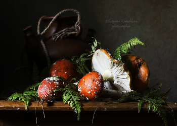 Geschenk / ***