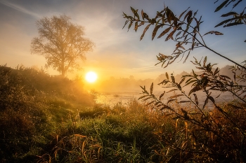 Nebel zerstreut / ***
